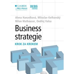 Business strategie. Krok za krokem