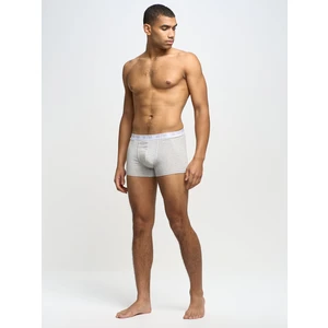 Big Star Man's Boxer Shorts Underwear 200033 Grey 901