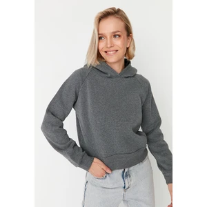 Trendyol Sweatshirt - Gray - Regular fit