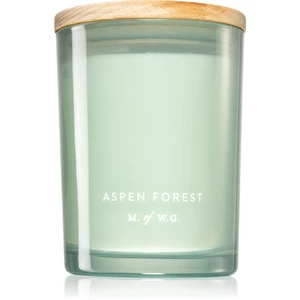 Makers of Wax Goods Aspen Forest vonná svíčka 420 g