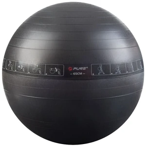 Pure 2 Improve Exercise Ball 65cm