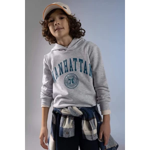 DEFACTO Boys Regular Fit Hoodie Sweatshirt