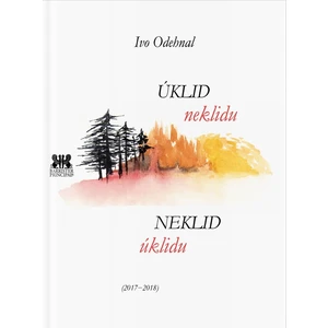 Úklid neklidu Neklid úklidu - Odehnal Ivo