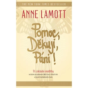 Pomoc, Děkuji, Páni! - Anne Lamottová