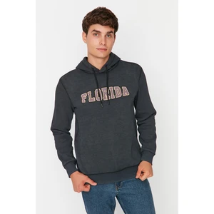 Trendyol Sweatshirt - Gray - Regular fit