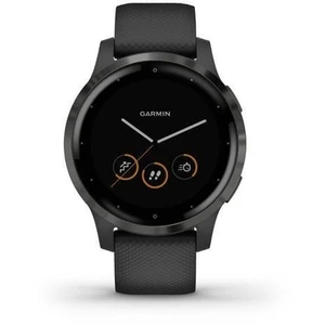 Garmin vivoactive 4S PVD Black/Slate