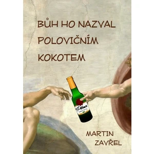 Bůh ho nazval polovičním kokotem - Martin Zavřel - e-kniha