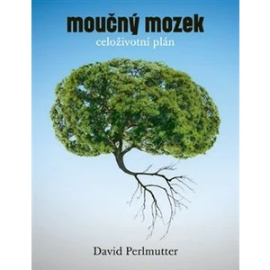 Moučný mozek: Celoživotní plán - David Perlmutter