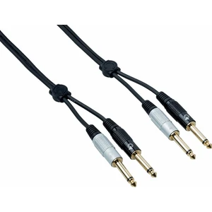 Bespeco EA2J300 3 m Câble Audio