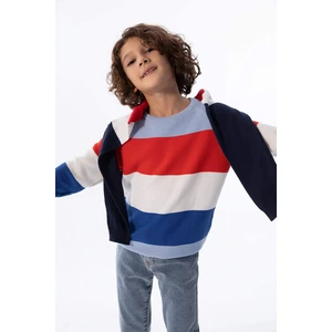 DEFACTO Boy Regular Fit Crew Neck Pullover