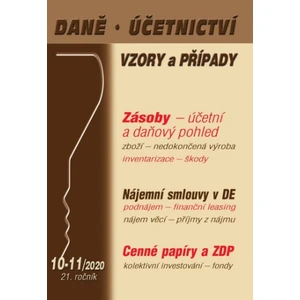 Daně, účetnictví, vzory a případy 10-11/2020