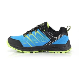 Outdoor shoes with membrane PTX ALPINE PRO HAIRE atoll