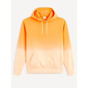 Celio Dearc Hoodie - Men