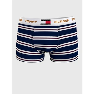 Bílo-modré pánské pruhované boxerky Tommy Hilfiger Underwear - Pánské