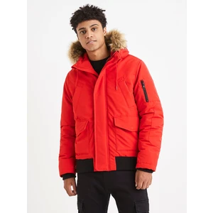 Celio Jacket Vusulka - Men