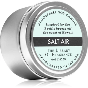 The Library of Fragrance Salt Air vonná sviečka 180 g