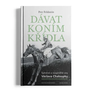 Dávat koním křídla - Petr Feldstein