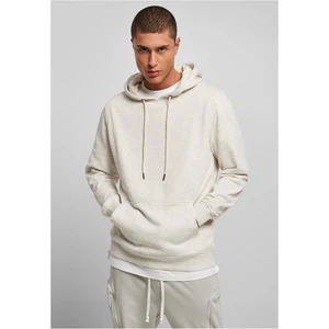 Base color Terry Hoody light gray