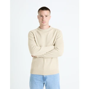 Celio Sweater Febasic - Men