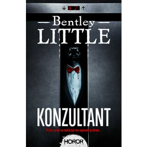 Konzultant - Bentley Little