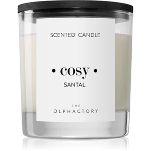 Ambientair Olphactory Black Design Santal vonná sviečka (Cosy) 200 g