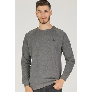 V4003 DEWBERRY REGLAN ARM MEN'S SWEATSHIRT-ANTHRACIC