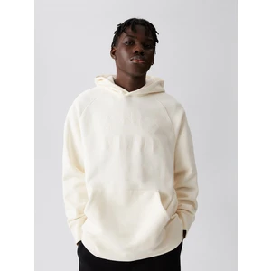 Diverse Men's sweatshirt ATH H 123