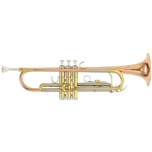 Roy Benson TR-202G Bb trombita