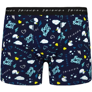 Men's boxer FRIENDS - Frogies