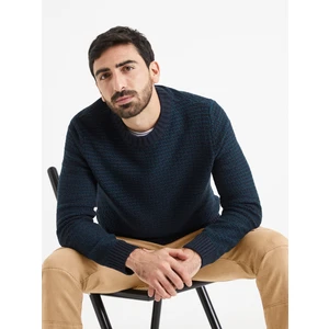 Celio Sweater Vecountry - Men