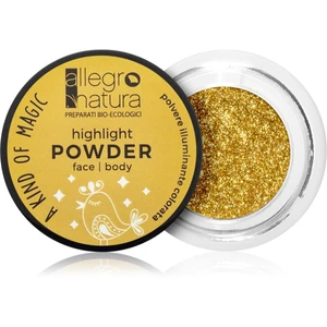 Allegro Natura A Kind of Magic rozjasňující pudr na obličej a oči Starry Gold 1,5 g