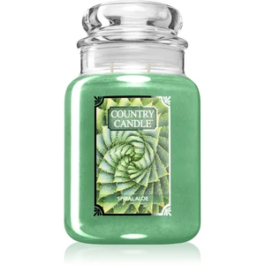 Country Candle Spiral Aloe vonná svíčka 680 g