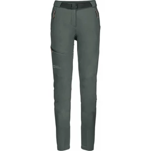 Jack Wolfskin Pantalones para exteriores Ziegspitz Pants W Slate Green S/M