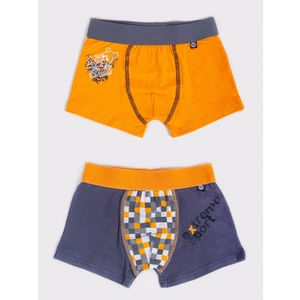 Yoclub Kids's 2Pack Boy's Boxer Briefs BMB-0014C-AA30