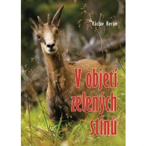 V objetí zelených stínů - Václav Beran