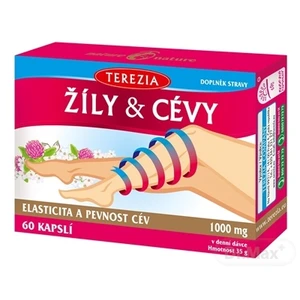 TEREZIA ŽILY & CIEVY