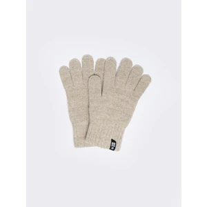 Big Star Woman's Gloves 290031