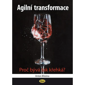 Agilní transformace - Březina Anton