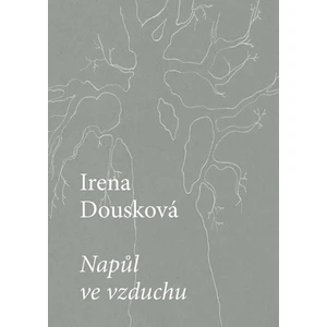 Napůl ve vzduchu - Irena Dousková