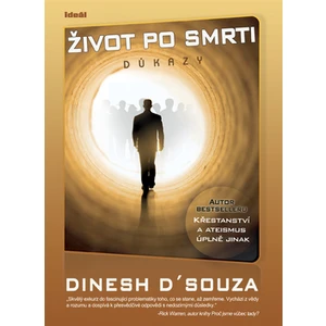 Život po smrti - Dinesh D'souza