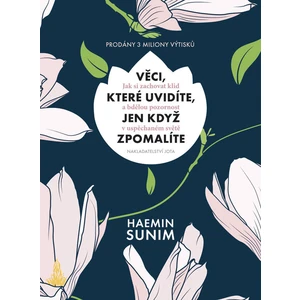 Věci, které uvidíte, jen když zpomalíte - Haemin Sunim