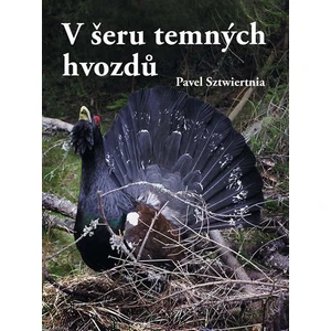 V šeru temných hvozdů - Pavel Sztwiertnia