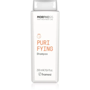 Framesi Morphosis Purifying čisticí šampon proti lupům 250 ml