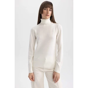 DEFACTO Regular Fit Turtleneck Pullover