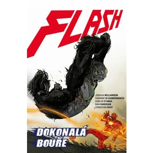 Flash 7 - Dokonalá bouře - Joshua Williamson