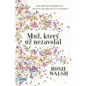 Muž, který už nezavolal - Rosie Walsh