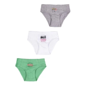 Yoclub Kids's Cotton Boys' Briefs Underwear 3-pack BMC-0030C-AA30-002