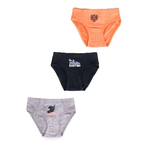 Yoclub Kids's Cotton Boys' Briefs Underwear 3-pack BMC-0028C-AA30-002