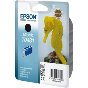 Epson C13T048140 čierna (black) originálna cartridge