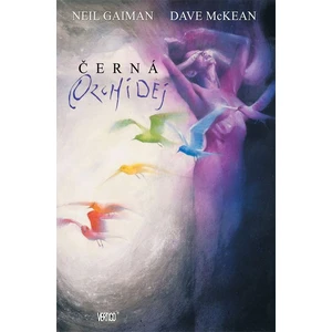 Černá orchidej - Neil Gaiman, McKean Dave